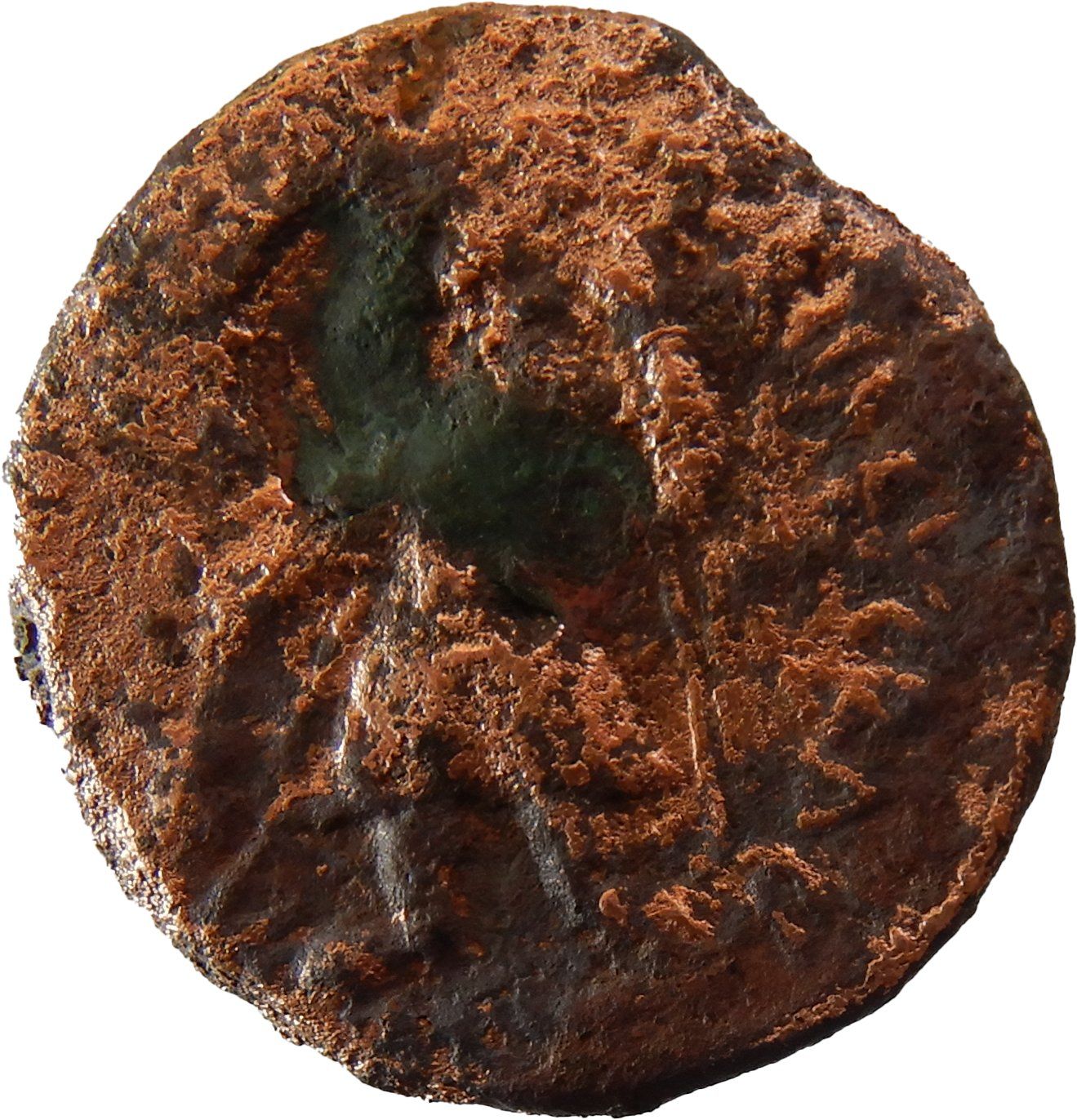 د ننګرهار موزیم ته لسګونه لرغونې سکې وسپارل شوې 