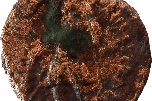 د ننګرهار موزیم ته لسګونه لرغونې سکې وسپارل شوې