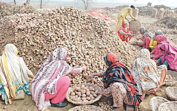 له افغانستان سره د سوداګریزو لارو تړل کېدو د پاکستان د الوګانو بازار له سقوط سره مخ کړی