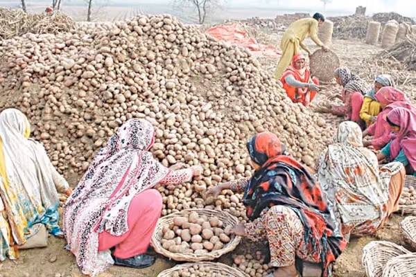 له افغانستان سره د سوداګریزو لارو تړل کېدو د پاکستان د الوګانو بازار له سقوط سره مخ کړی