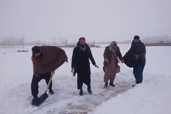 په میدان وردګ کې طالبانو مرغانو ته د دانو شیندلو کمپاین پیل کړی