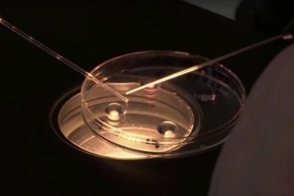 مرد هالندی که با اهدای اسپرم پدر بیش از ۵۰۰ کودک شده، از اهدای اسپرم منع شد