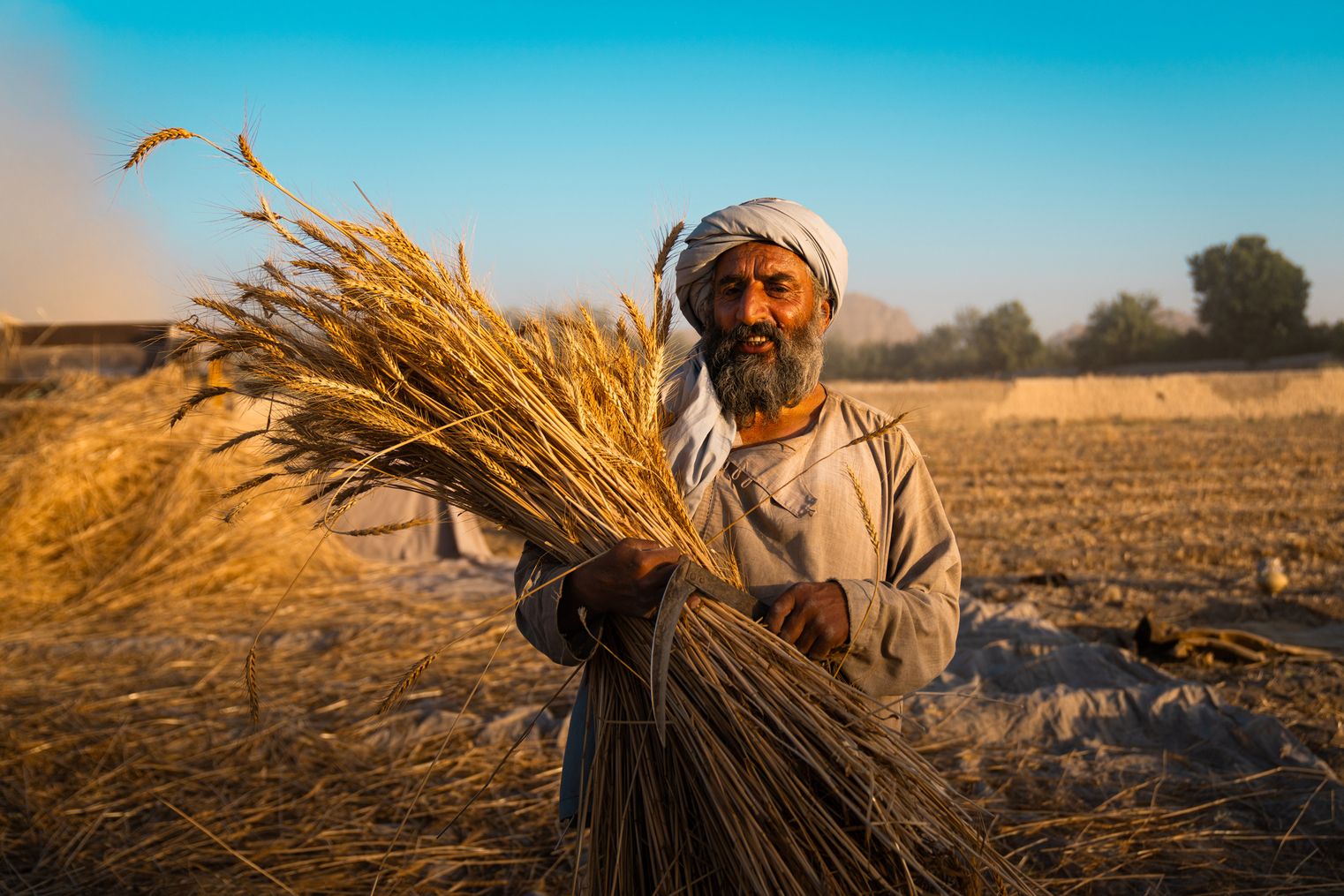 ملګري ملتونه: په افغانستان کې د باران کمښت د غنمو او څړځایونو لپاره ګواښ رامنځته کوي