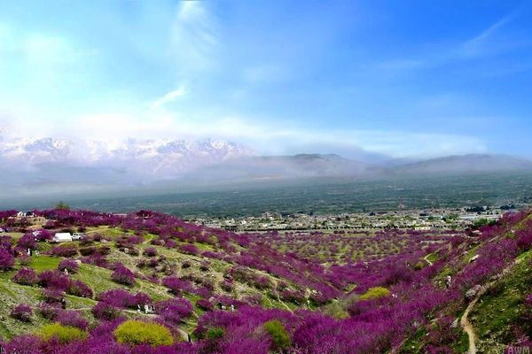 انفجار نارنجک در پروان ۹ نفر را زخمی کرد