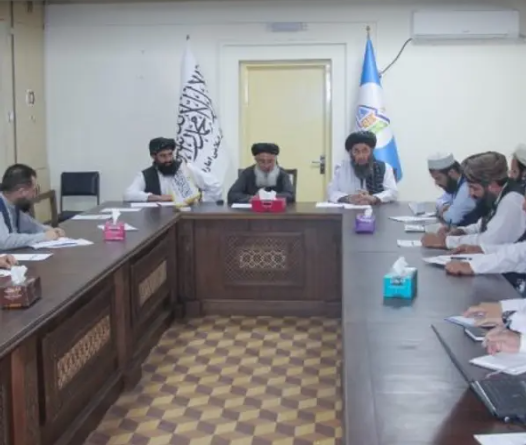 Taliban To Present Economic Development Proposals to OIC