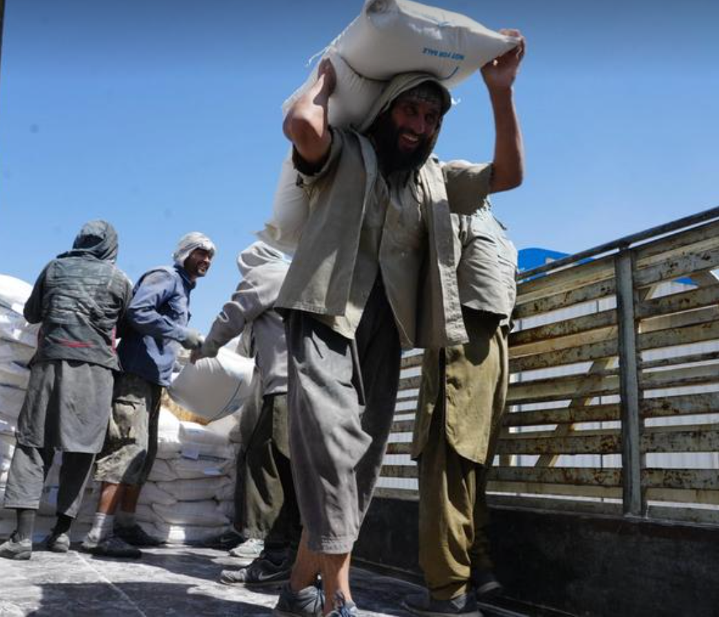 23 Million Afghans Need Humanitarian Support, Says UNHCR