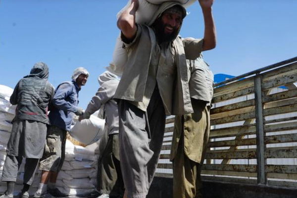 23 Million Afghans Need Humanitarian Support, Says UNHCR