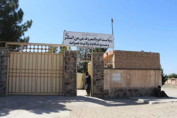 صرافان و طلا فروشان هرات: طالبان بهخاطر مدل ریش، ما را بازداشت و با ضمانت رها میکند