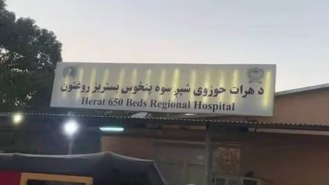 فعالان افغان خواستار پایان تبعیض زبانی علیه گویشگران فارسی در افغانستان شدند