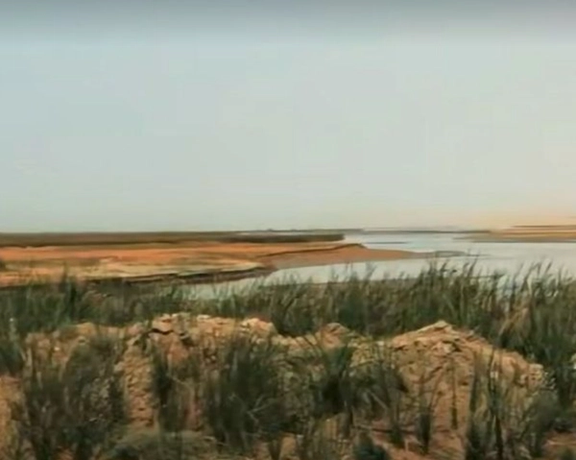 Taliban Reaches Agreement With Pakistan To Relocate TTP Members to Northern Afghanistan