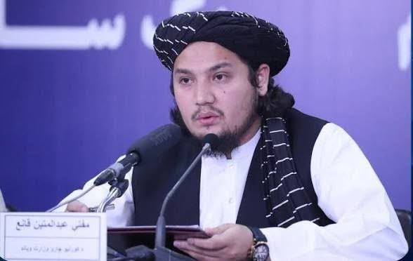 عبدالمتین قانع وایي د طالبانو له واکمنۍ راهیسې د نشه‌یي توکو د کښت کچه ۹۵ سلنه راټېټه شوې