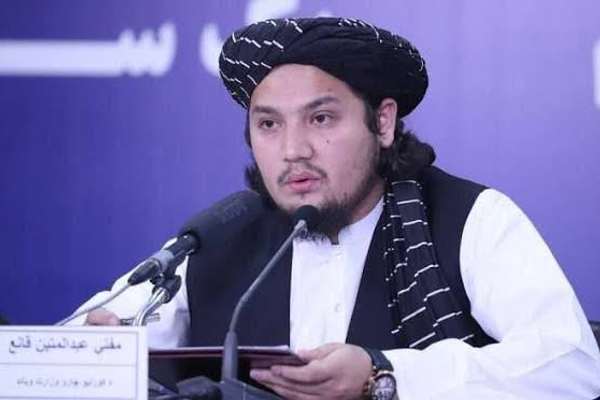 عبدالمتین قانع وایي د طالبانو له واکمنۍ راهیسې د نشهیي توکو د کښت کچه ۹۵ سلنه راټېټه شوې