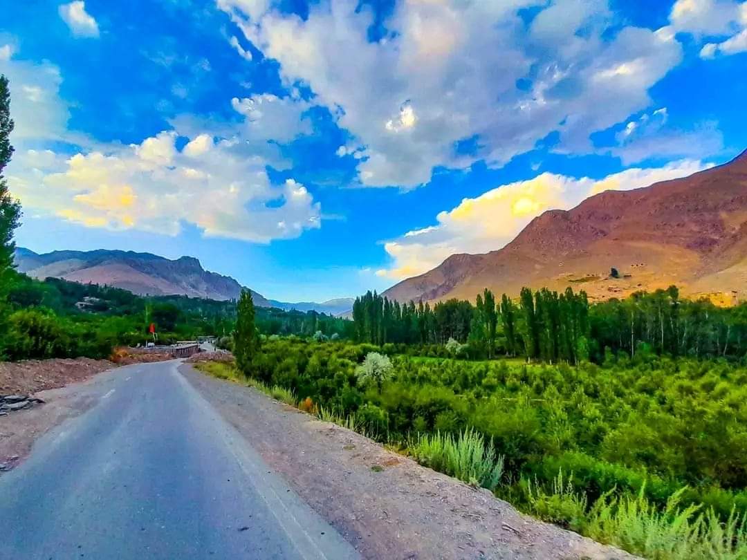 سه برادر در ولسوالی جلریز میدان‌وردک به دست افراد ناشناس «کشته شدند»