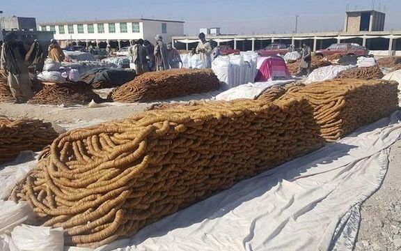 په کندهار کې د انځرو حاصلات د تېر کال پرتله ۴۰سلنه زیات شوي