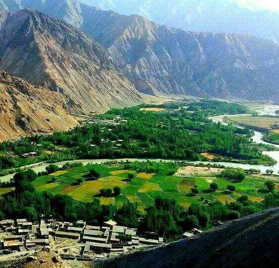 طالبان وایي په سرپل کې یې د څه باندې ۲زره جریبه ځمکې د غصب مخه نیولې