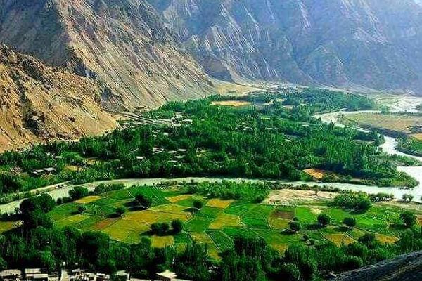 طالبان وایي په سرپل کې یې د څه باندې ۲زره جریبه ځمکې د غصب مخه نیولې