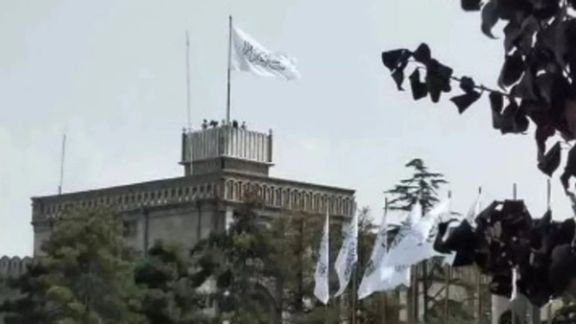 طالبانو د مامورینو معاشونه او د توکو اخیستل ددریو میاشتو لپاره وځنډول