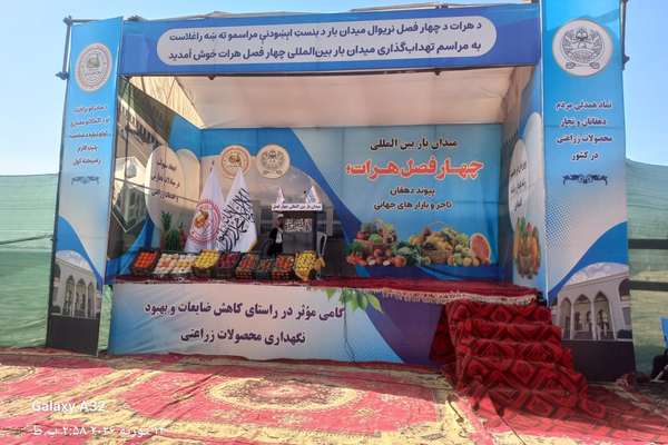 طالبان په هرات کې د ۵ میلیونه ډالرو په ارزښت د زراعتي محصولاتو نړیوال بازار جوړوي