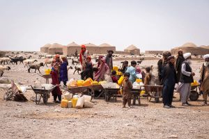 یوناما: بیش از نیمی از جمعیت افغانستان تحت تأثیر خشکسالی و کمبود آب قرار گرفتهاند