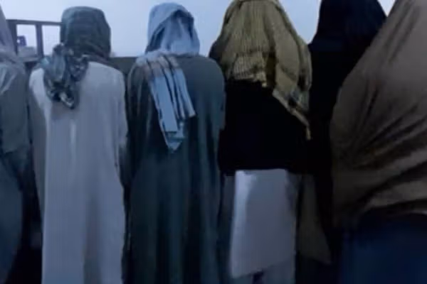 طالبانو په فراه کې د هوسیو د غیرقانوني ښکار په تړاو اووه تنه نیولي