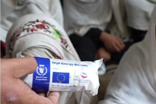 برنامه جهانی غذا: در افغانستان بیشتر کودکان با شکم خالی به مکتب میروند