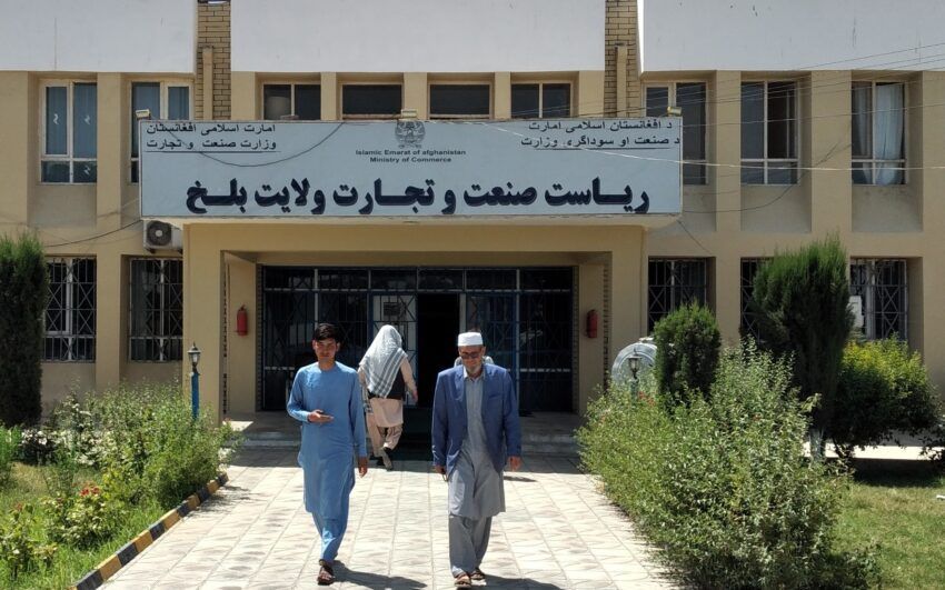 طالبان وایي روان کال یې په بلخ کې ۲۸۴ نوي سوداګریز او صنعتي جوازونه وېشلي دي