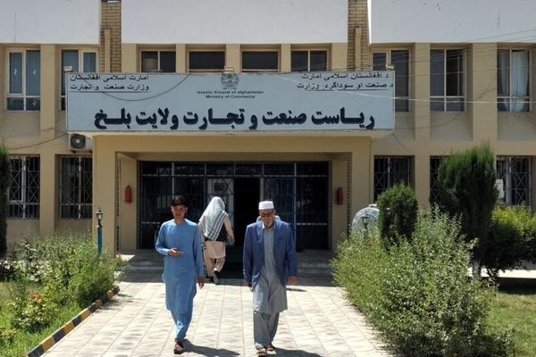 طالبان وایي روان کال یې په بلخ کې ۲۸۴ نوي سوداګریز او صنعتي جوازونه وېشلي دي