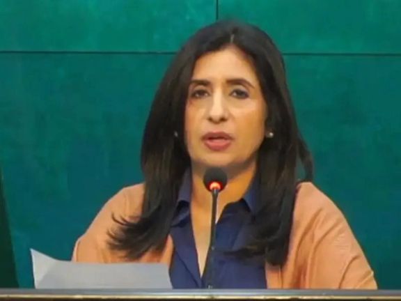 پاکستان: گزارشهای سازمان ملل حضور جنگجویان تیتیپی در افغانستان را تایید کرده است