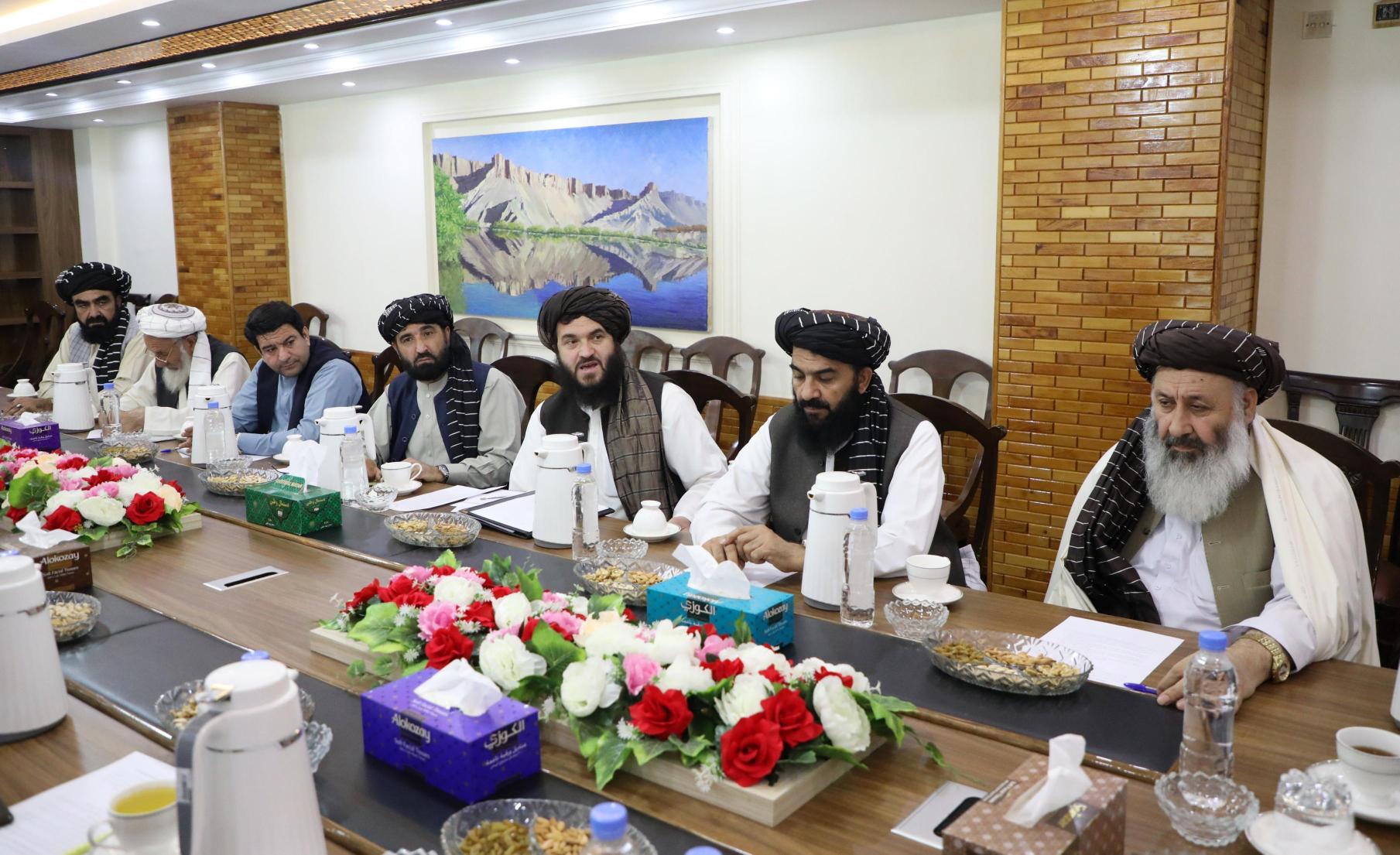 طالبانو تر خپل واک لاندې په ټولو دولتي ادارو کې د کورنیو محصولاتو د کارونې امر کړی