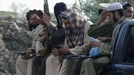 سږ کال په خوست، پکتیا او پکتیکا کې عشر پاکستاني طالبانو اخیستی