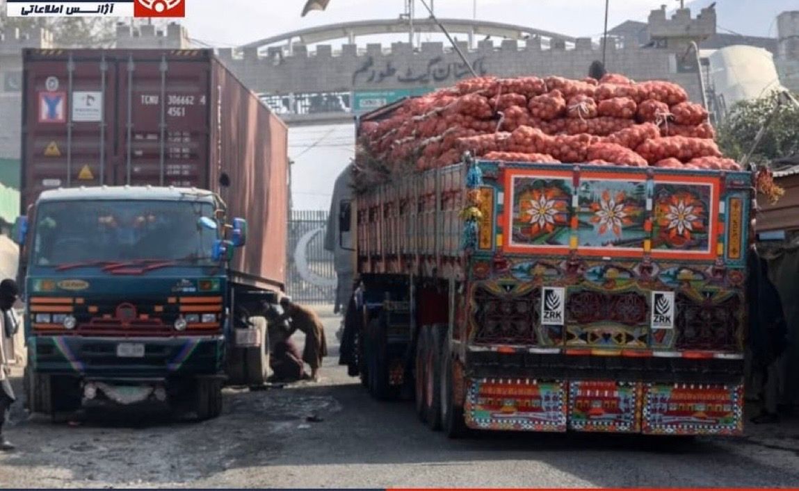در پی توقف دوهفته‌ای صادرات میوه به پاکستان، عضو اتاق تجارت خواستار تقویت راه‌های بدیل شد