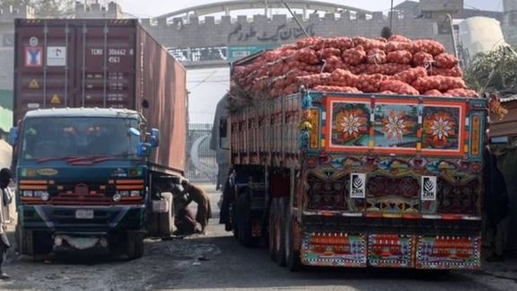 در پی توقف دوهفتهای صادرات میوه به پاکستان، عضو اتاق تجارت خواستار تقویت راههای بدیل شد