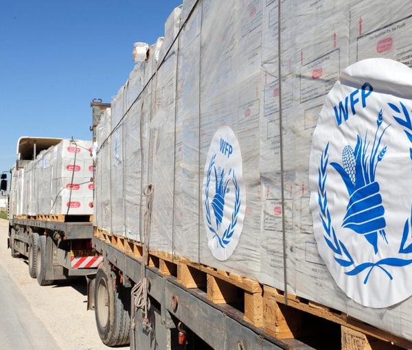 سازمان جهانی غذا: جاپان ۵ میلیون دالر به افغانستان کمک کرد