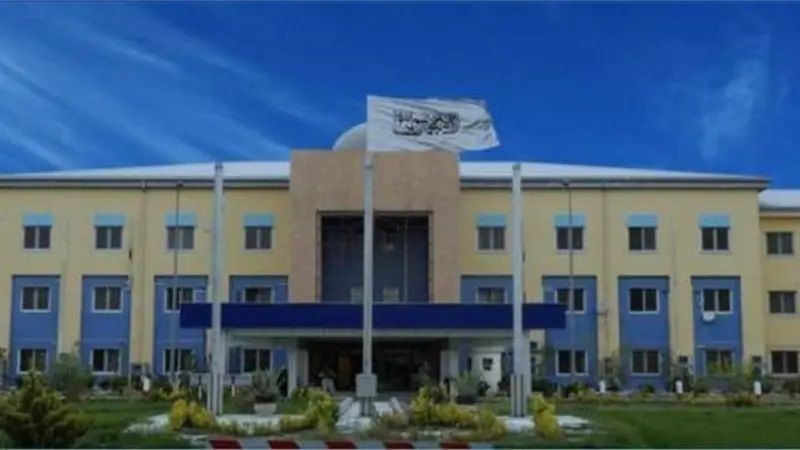 طالبان وایي، د کابل په پنځمه حوزه کې یې د موټرونو د غلا په تور درې کسیز بانډ نیولی