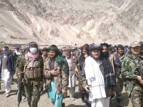 Hazara Massacre By Taliban Possible in Balkhab, Warns World Hazara Council