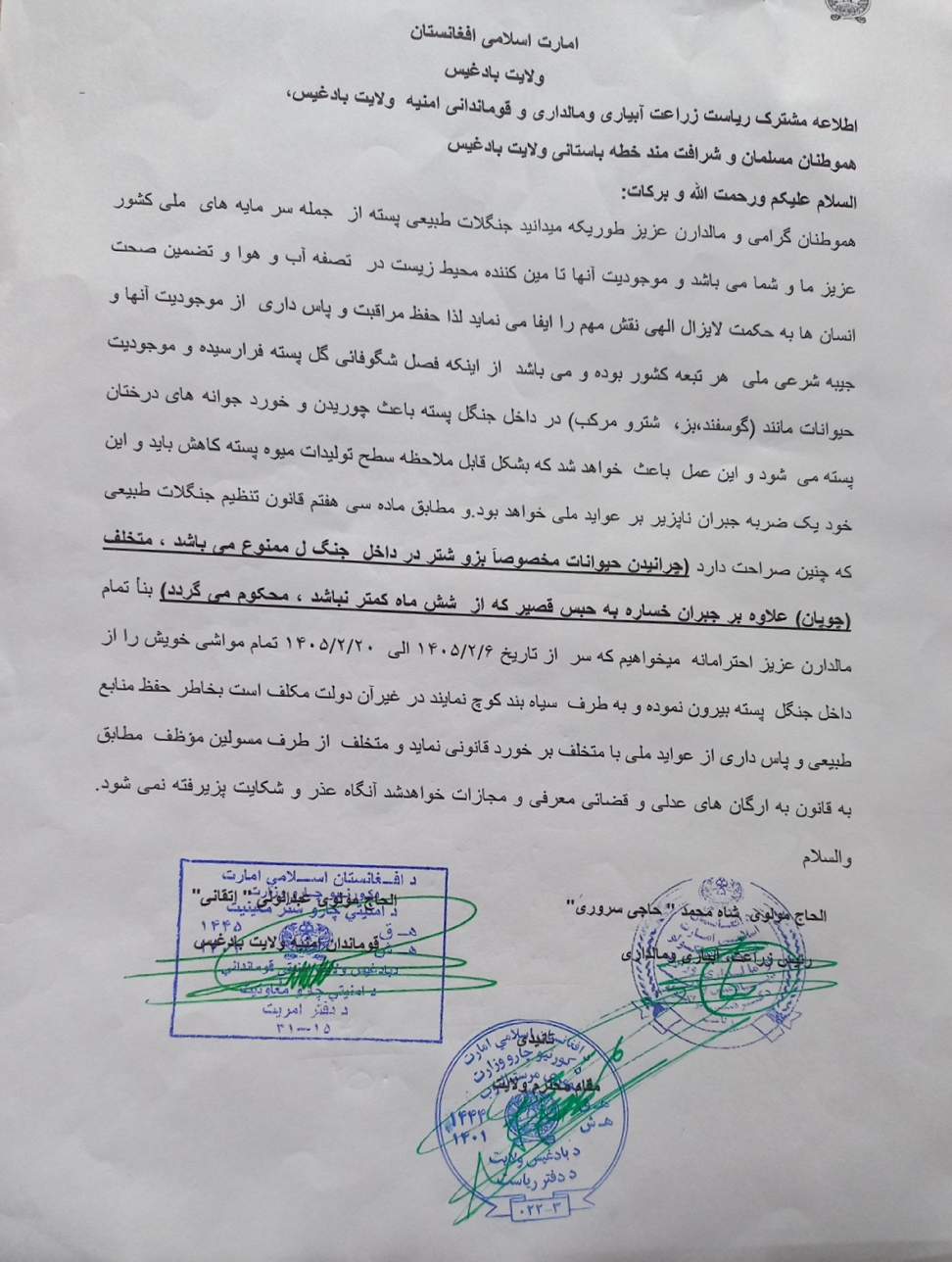 طالبانو بادغیسي مالدارانو ته امر کړی چې د پسته‌لیق ځنګلونه تخلیه کړي