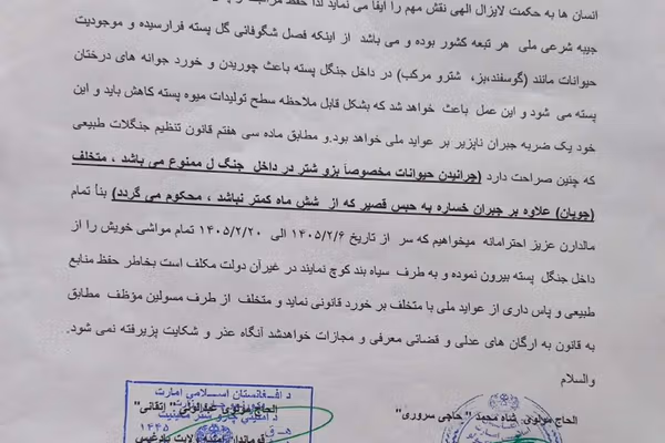 طالبانو بادغیسي مالدارانو ته امر کړی چې د پستهلیق ځنګلونه تخلیه کړي