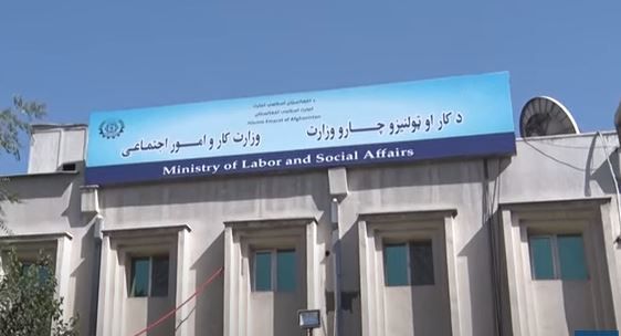 طالبان وايي، تېر کال یې ۱۱۴ زره کسانو ته د کار جوازونه ورکړي