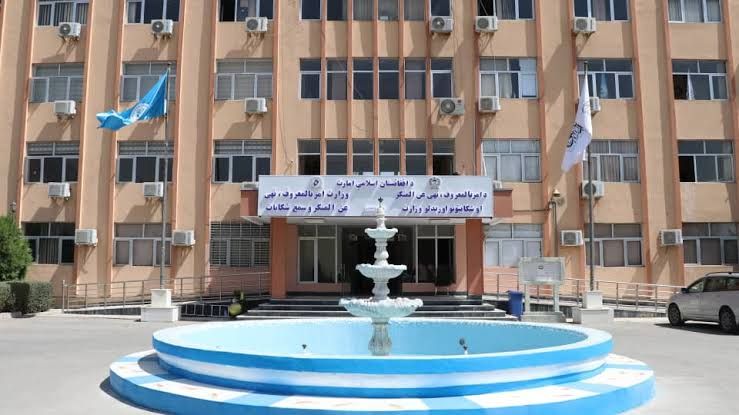 طالبان: په پنځو ولایتونو کې ۱۱ مېرمنې له کورني تاوتریخوالي وژغورل شوې