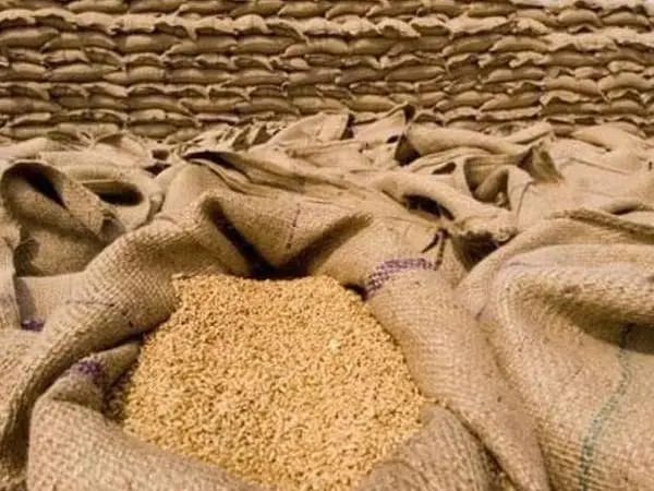 طالبان از روسیه خواست تا بهای غله صادراتی خود به افغانستان را کاهش دهد