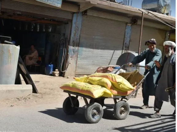 Over 19 Million Afghans Face Acute Food Insecurity, Says ICRC