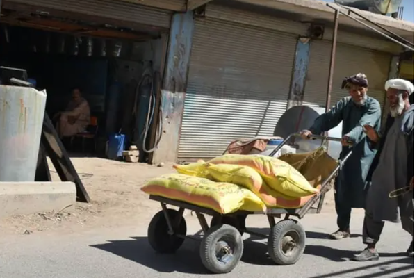 Over 19 Million Afghans Face Acute Food Insecurity, Says ICRC
