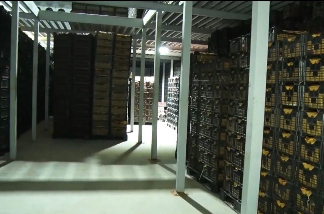 کروندګر: د حاصلاتو ساتنې لپاره سړې خونې نشته، خو طالبان وايي دا تشه تر ډېره ډکه شوې