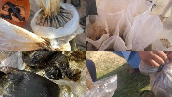 جنوب کې د بیو ناڅاپي لوړېدل؛ طالبان د تاریاکو په کښت او قاچاق کې پټه همکاري کوي