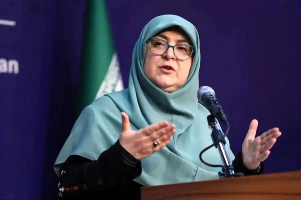 سخنگوی دولت ایران: برای حفاظت از منافع ملی باید مهاجران ساماندهی شوند