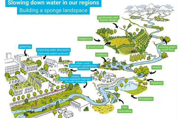 ملګرو ملتونو د افغانستان د اوبو مدیریت لپاره د «سفنجي سیمو» پر جوړولو ټینګار کړی