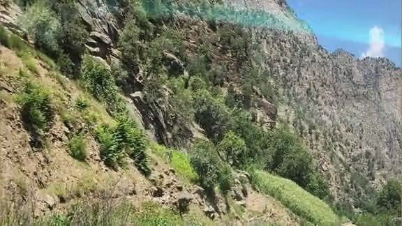 طالبان: شمار کشته‌شدگان نیروهای مخالف در نورستان به ۳۸ نفر رسید