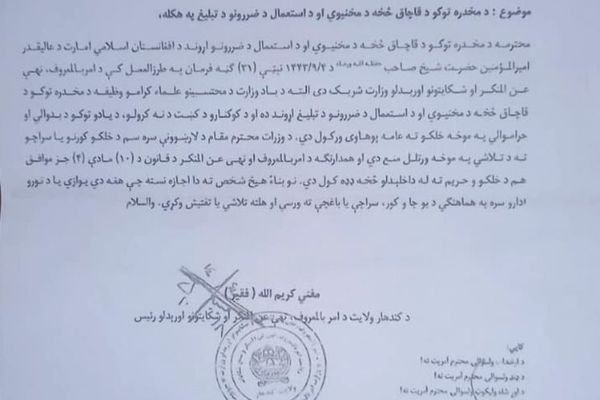 ورود محتسبان به خانهها برای نابودی کوکنار در قندهار ممنوع شد