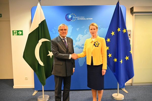 Pakistan, EU Call For Launch Of Political Process In Afghanistan