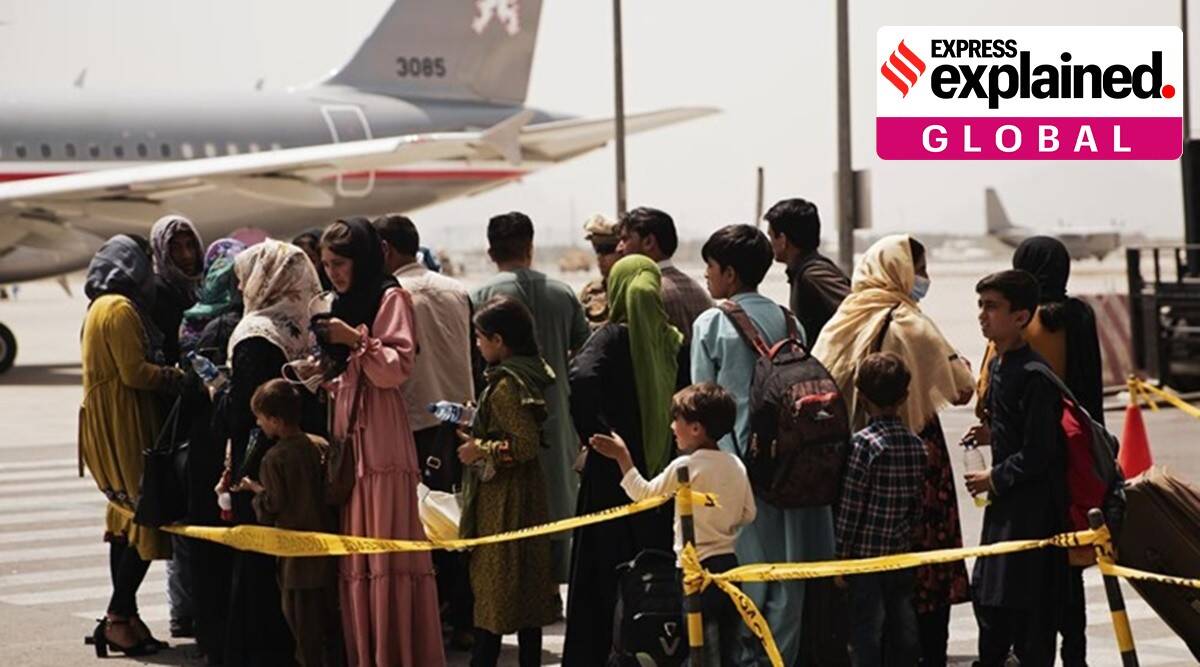 روزنامه اسرائیلی: با کمک یک یهودی، ۷۰ پناهجوی افغان به ایتالیا رسیدند